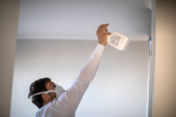 Best Mold Testing and Inspection Services in Ridge Wood Heights, FL